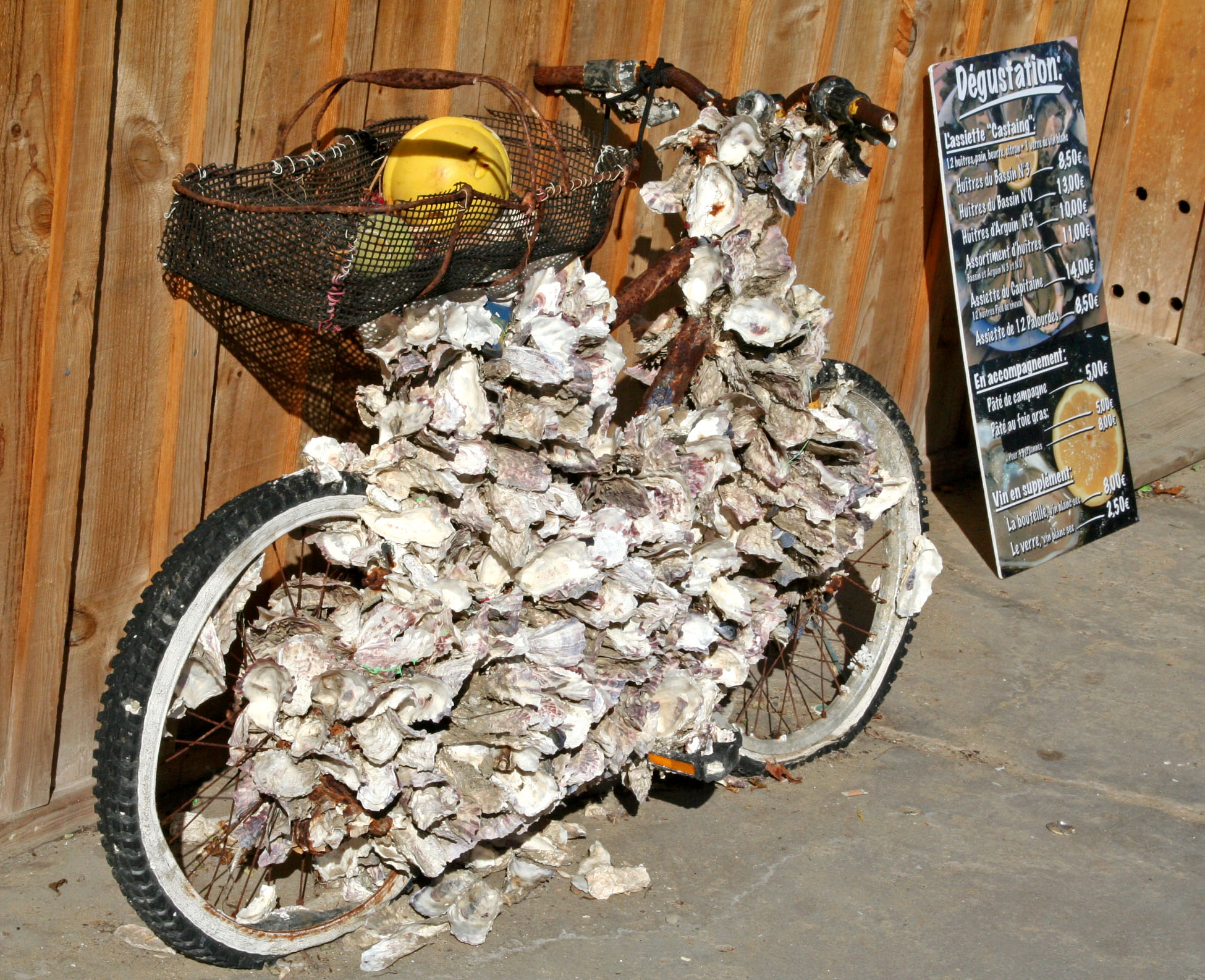 Velo huitres 2640