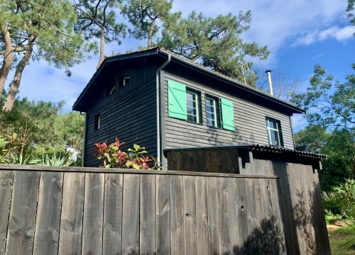 PHOTO 2026 02 07 18 55 46 4